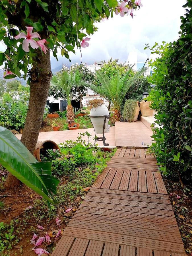 Alba Chiara B&B ซานวิโต โลคาโป ภายนอก รูปภาพ